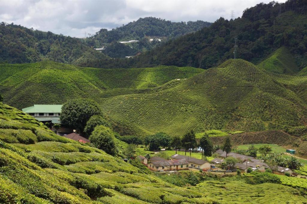 Oyo 1231 Ar Rayyan Boutique Hotel Cameron Highlands Exterior photo