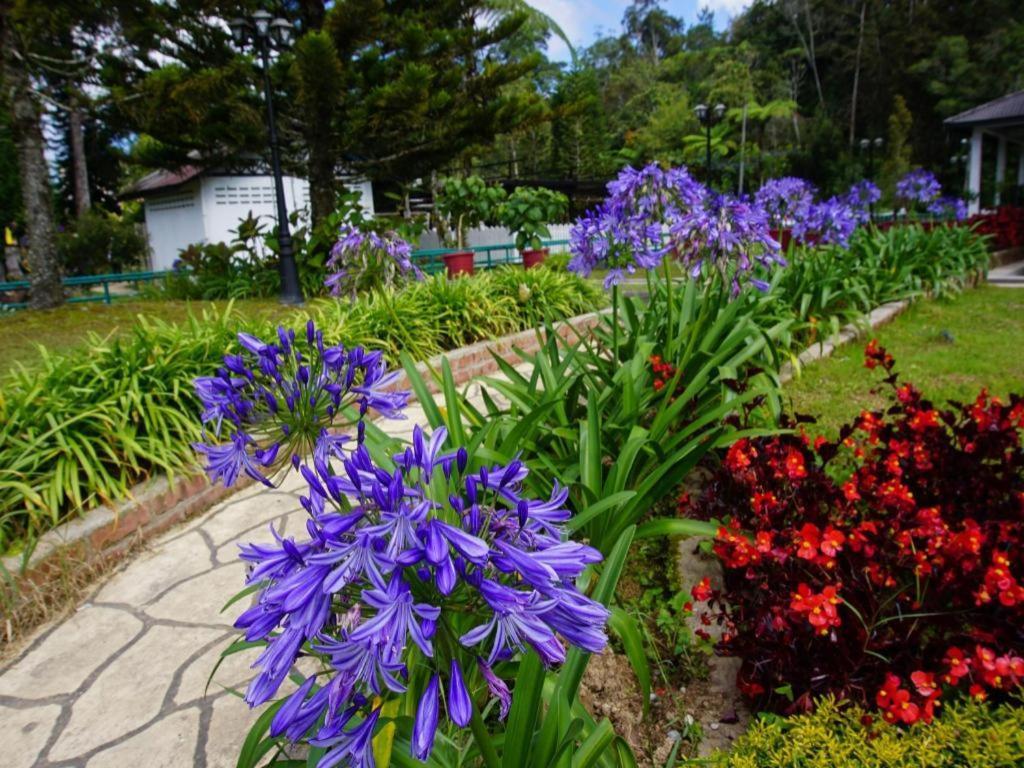 Oyo 1231 Ar Rayyan Boutique Hotel Cameron Highlands Exterior photo