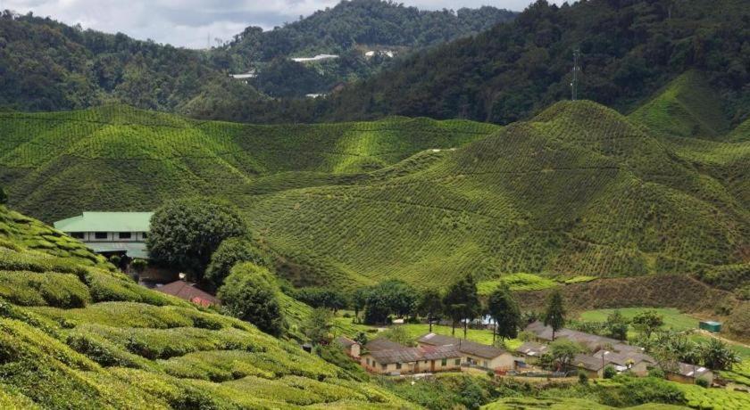 Oyo 1231 Ar Rayyan Boutique Hotel Cameron Highlands Exterior photo